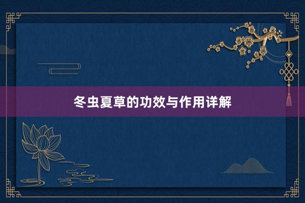 冬虫夏草的功效与作用详解