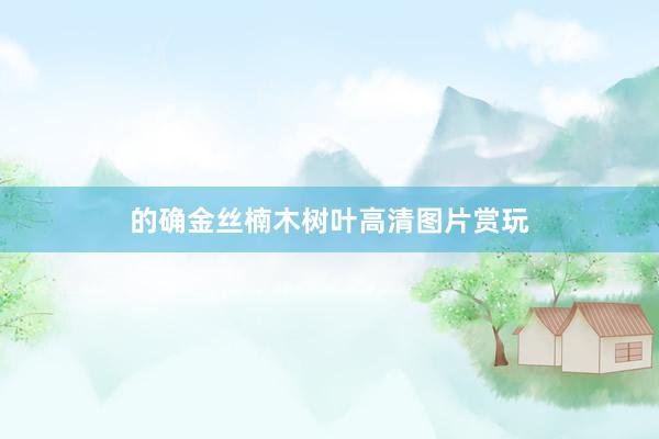 的确金丝楠木树叶高清图片赏玩